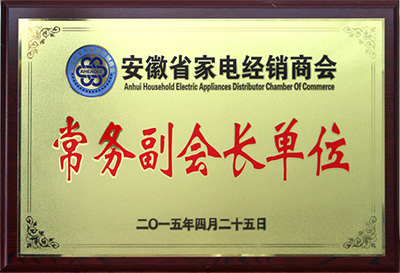 安微省家電經(jīng)銷商會(huì)常務(wù)副會(huì)長(zhǎng)單位